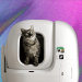 7 Best Automatic Litter Boxes (2025), Tested and Reviewed