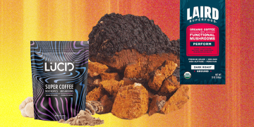 Mushroom Supplements Are the Biohackers’ Latest Fix (2025)