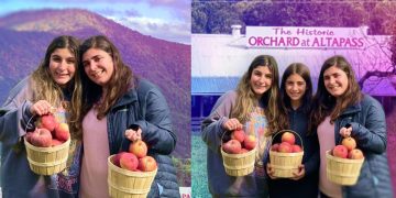 I Tried Gemini’s ‘Nano Bananas’ for Image Editing. The AI Slipups Were Obvious