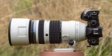 Forget full-frame – OM System’s latest telephoto zoom proves that Micro Four Thirds is a top choice for macro and wildlife photography