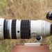 Forget full-frame – OM System’s latest telephoto zoom proves that Micro Four Thirds is a top choice for macro and wildlife photography