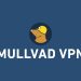Mullvad VPN Now Adds QUIC Protocol to Get Around Firewalls and Censorship