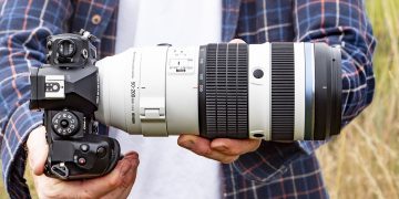 OM System M.Zuiko Digital ED 50-200mm F2.8 IS Pro review: an incredible wildlife and sports zoom