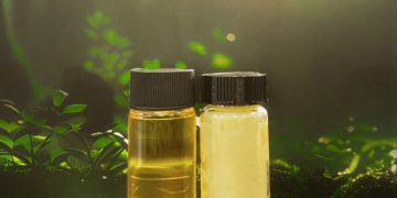 Terra Oleo’s oil-producing microbes could replace destructive palm oil plantations