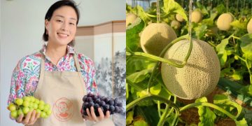 Timo & Farmers delivers farm-fresh fruit from Korea in 72 hours