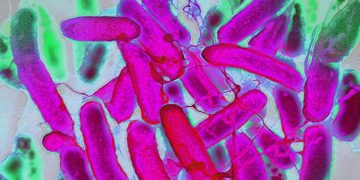 Resistant Bacteria Are Advancing Faster Than Antibiotics
