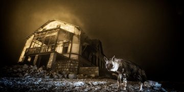 And the winning Wildlife Photographer of the Year 2025 image was taken with… an eleven year old Nikon DSLR