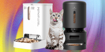 These 8 Automatic Cat Feeders Were the Best We Tested (2025)