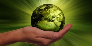 Why net zero is a business necessity and not a political football