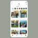 Co-founder of Indian social network Koo releases a new photo sharing app