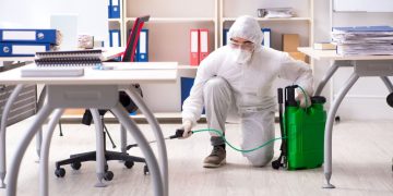 Some Google employees forced to WFH due to bedbug infestation