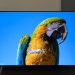 It’s my job to test TVs, and these 3 models are the best value for money on the market