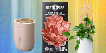 The 14 Best Gifts for Plant Lovers We’d Buy Ourselves (2025)