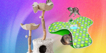 The Best Cat Toys for Your Furry Friend (2025)