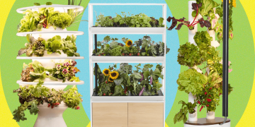 Best Indoor Garden Systems: We’ve Been Testing All Year (2025)
