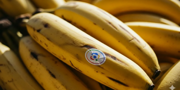 Google just dropped its Nano Banana AI image generator into your search results and notes