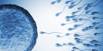 Sperm From Older Men Have More Genetic Mutations