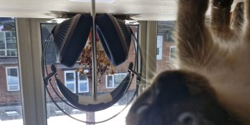 Meze Audio 105 Silva review: bucolic listening headphones that offer the Romanian answer to ‘hygge’