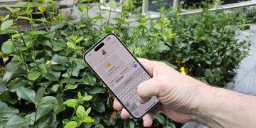 You’re not bad at typing – iOS 26’s autocorrect is broken and there’s still no fix in iOS 26.2