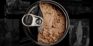 The dark truth behind supermarket tuna