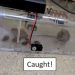 Humane Mousetrap Lets You Know It’s Caught Something