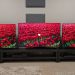 I tested three 5-star OLED TVs from LG and Samsung, and I know which one I’d buy on Black Friday