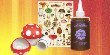The Best Mushroom Gifts for Your Fungi Friend (2025)