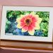 Pexar Starlight 15.6-inch review: this stunning digital photo frame will make both your photos and your living room glow
