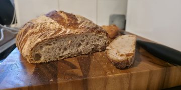 This foldable-bread-proofer-meets-slow-cooker is my new favorite kitchen gadget