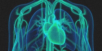 A Gene Editing Therapy Cut Cholesterol Levels by Half