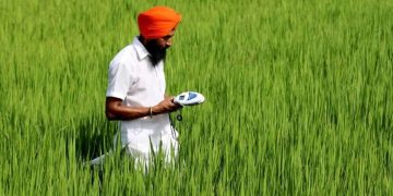 Kering-backed fund Mirova pours $30.5M into India’s Varaha for regenerative farming